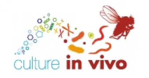 Culture In Vivo Asbl